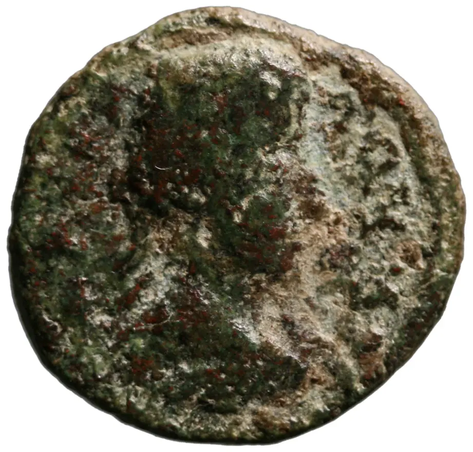 Bargasa: Commodus