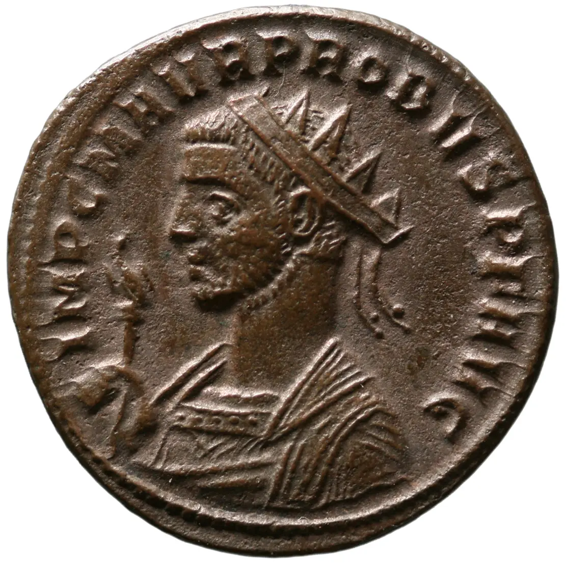 Probus