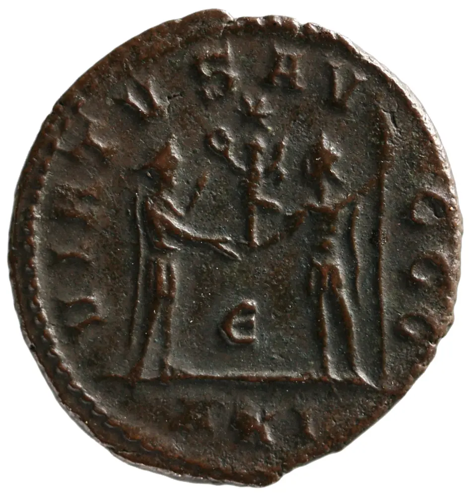 Carinus