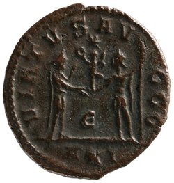 Carinus