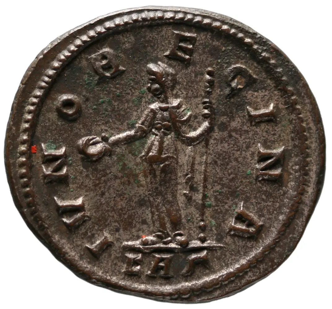 Magnia Urbica