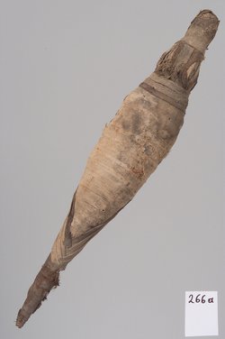 Kleine Krokodilsmumie