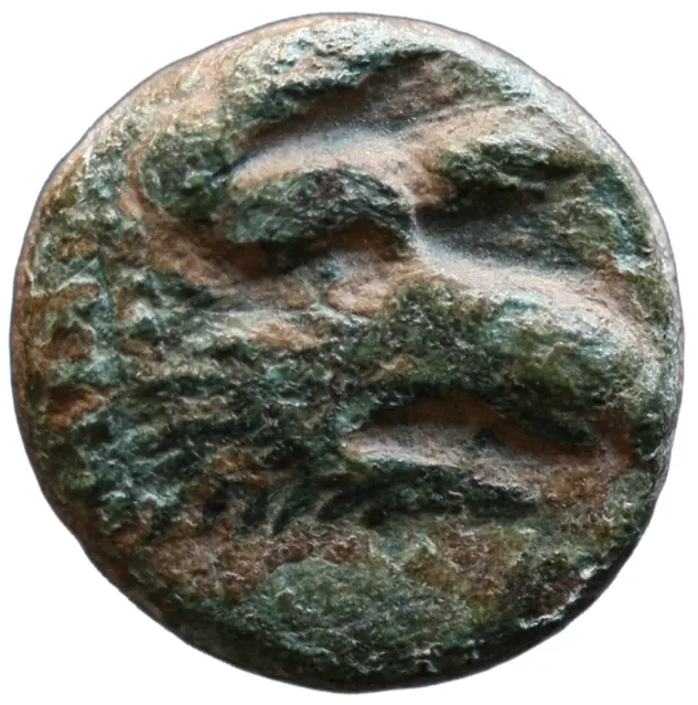 Adaios