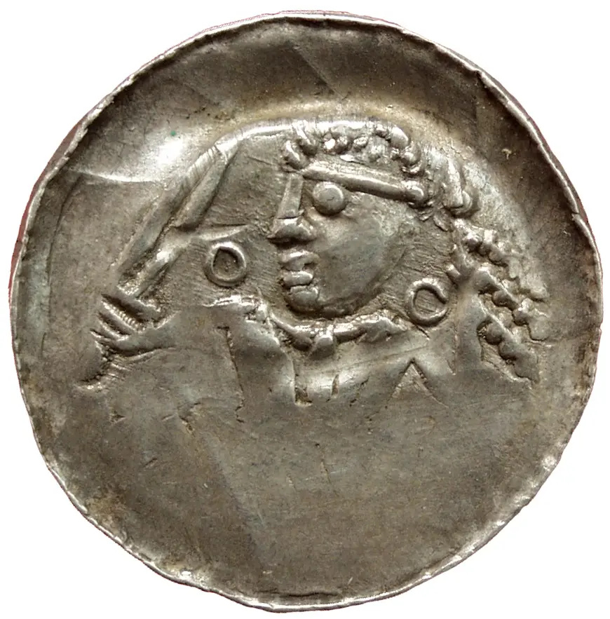 Herzöge von Kärnten: Heinrich V.