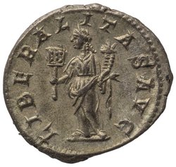 Severus Alexander