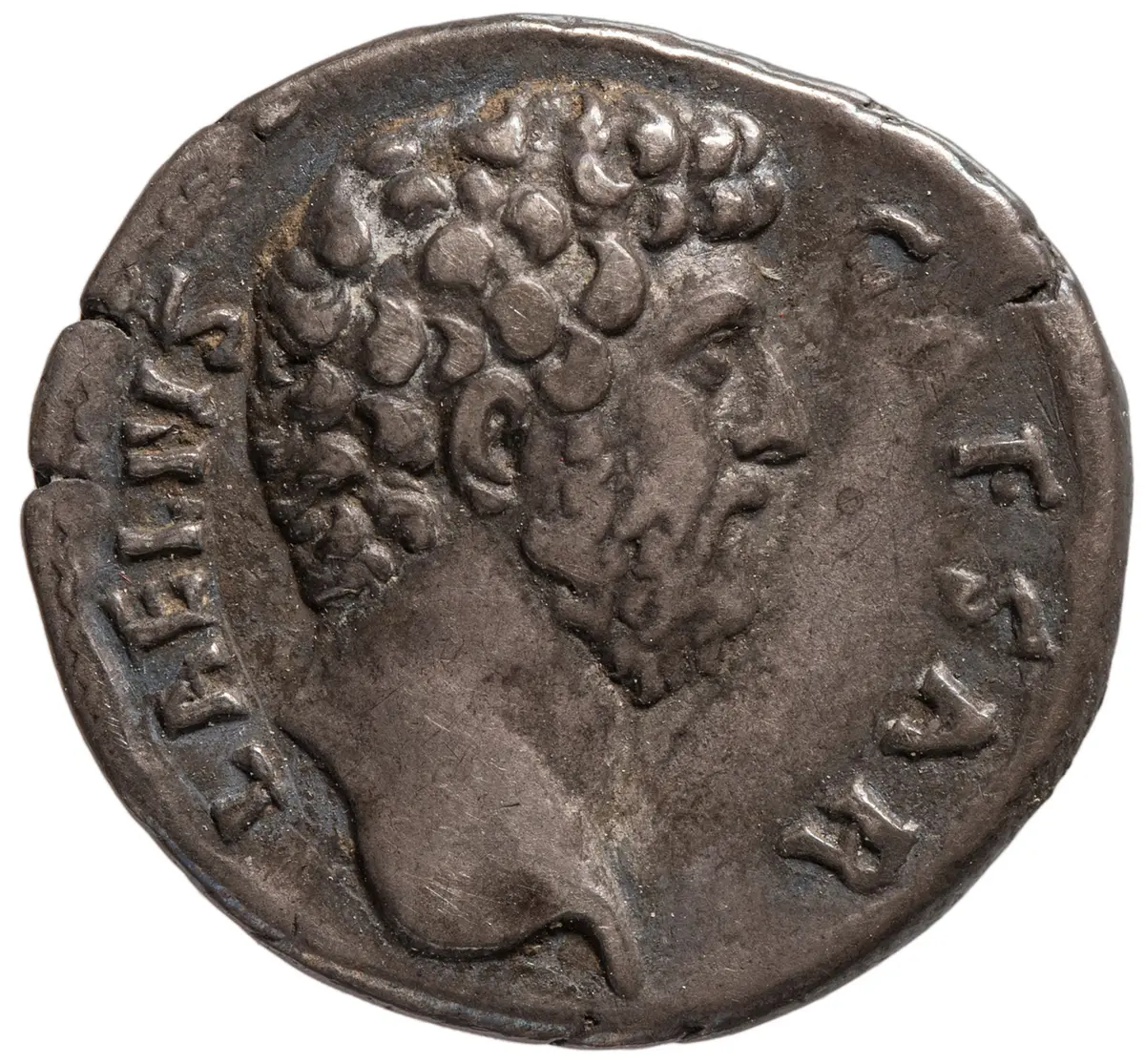 Lucius Aelius