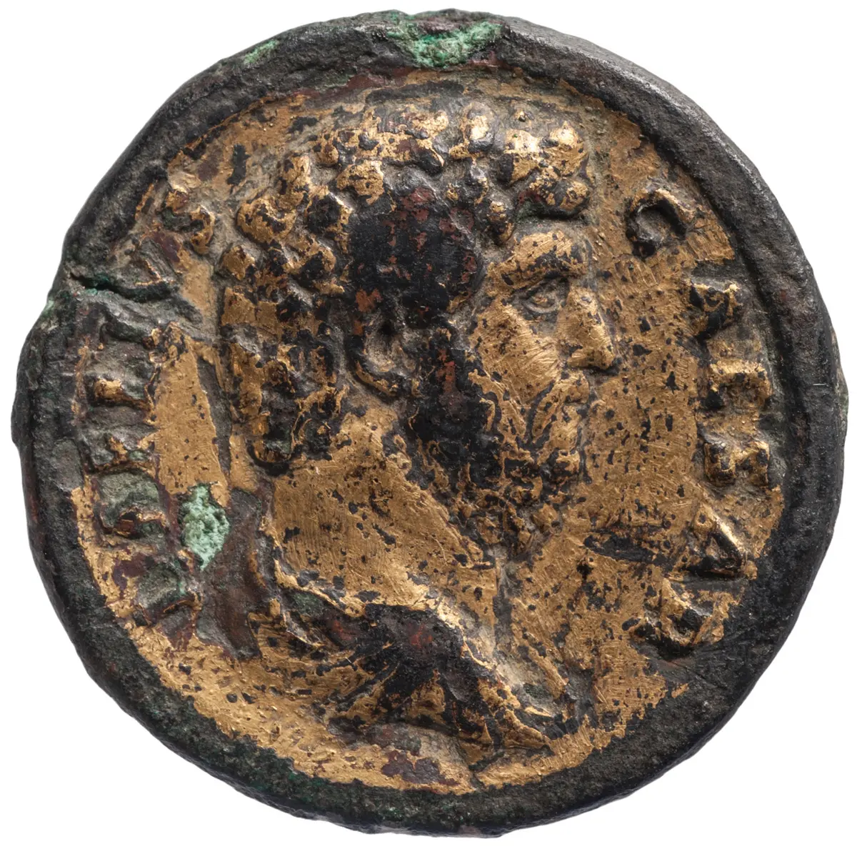 Lucius Aelius