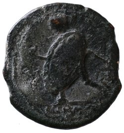 Ariminum (Rimini)