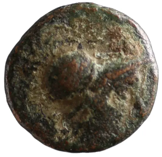 Byllis