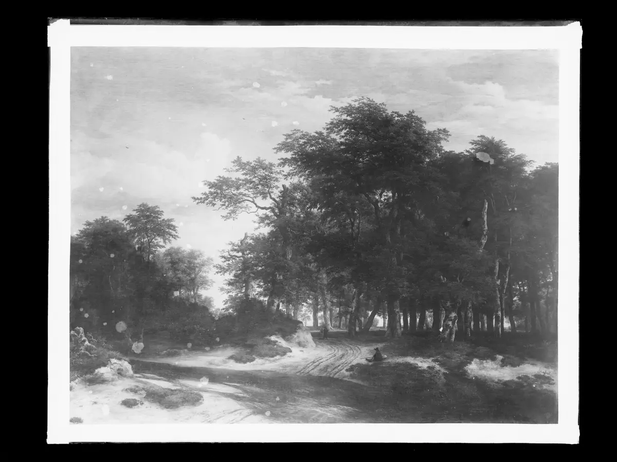 Der große Wald