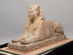 Serapeumssphinx