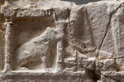 Fragment des Sarkophagkastens
