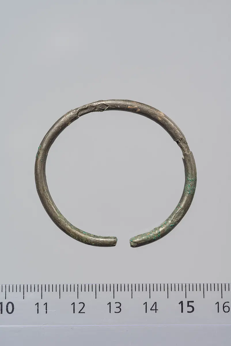 Ring (Teil eines Ohrringes?)