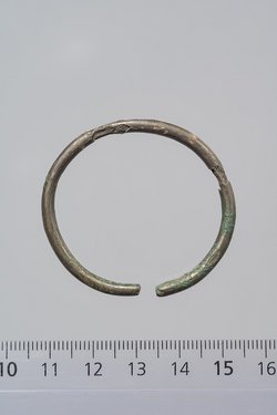 Ring (Teil eines Ohrringes?)