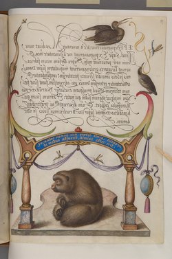 Schriftmusterbuch; 127 Blatt Pergament