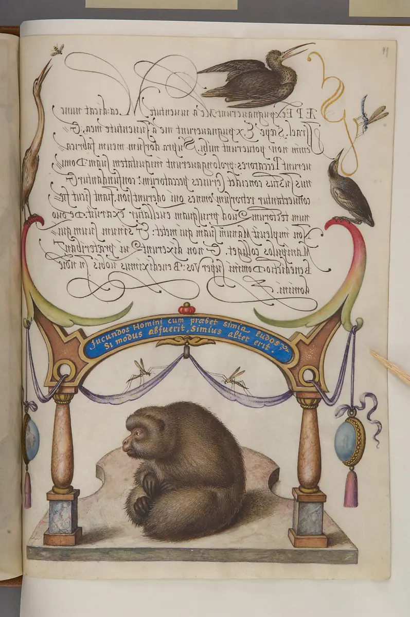 Schriftmusterbuch; 127 Blatt Pergament
