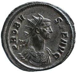Probus