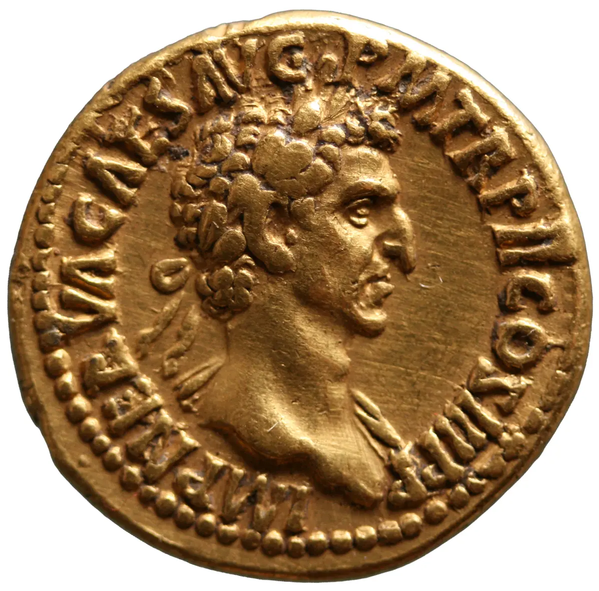 Nerva