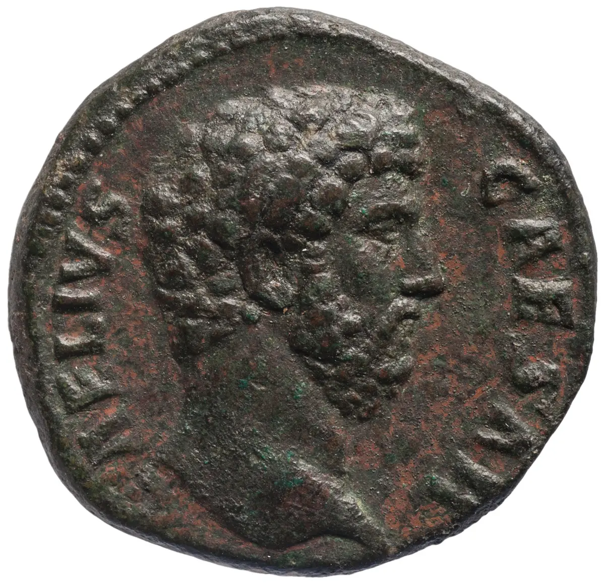 Lucius Aelius