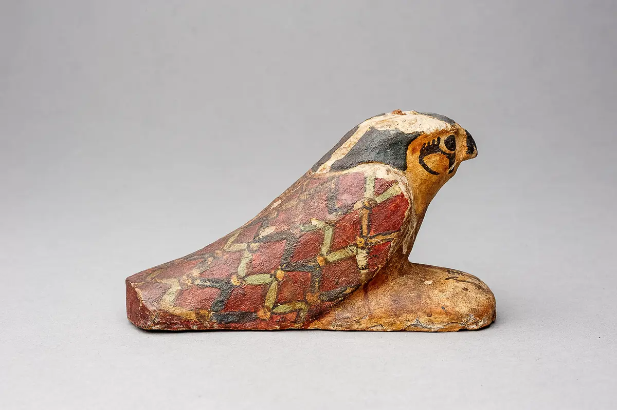 Achom-Falke