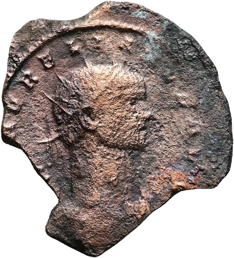 Münze