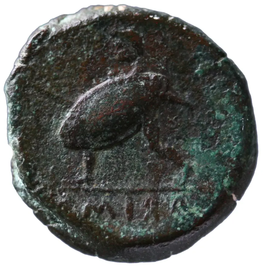 Ariminum (Rimini)