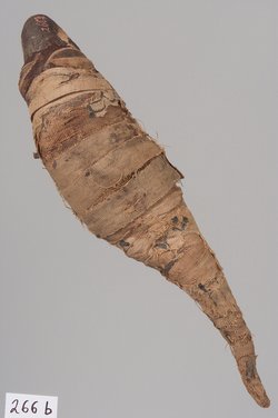 Kleine Krokodilsmumie