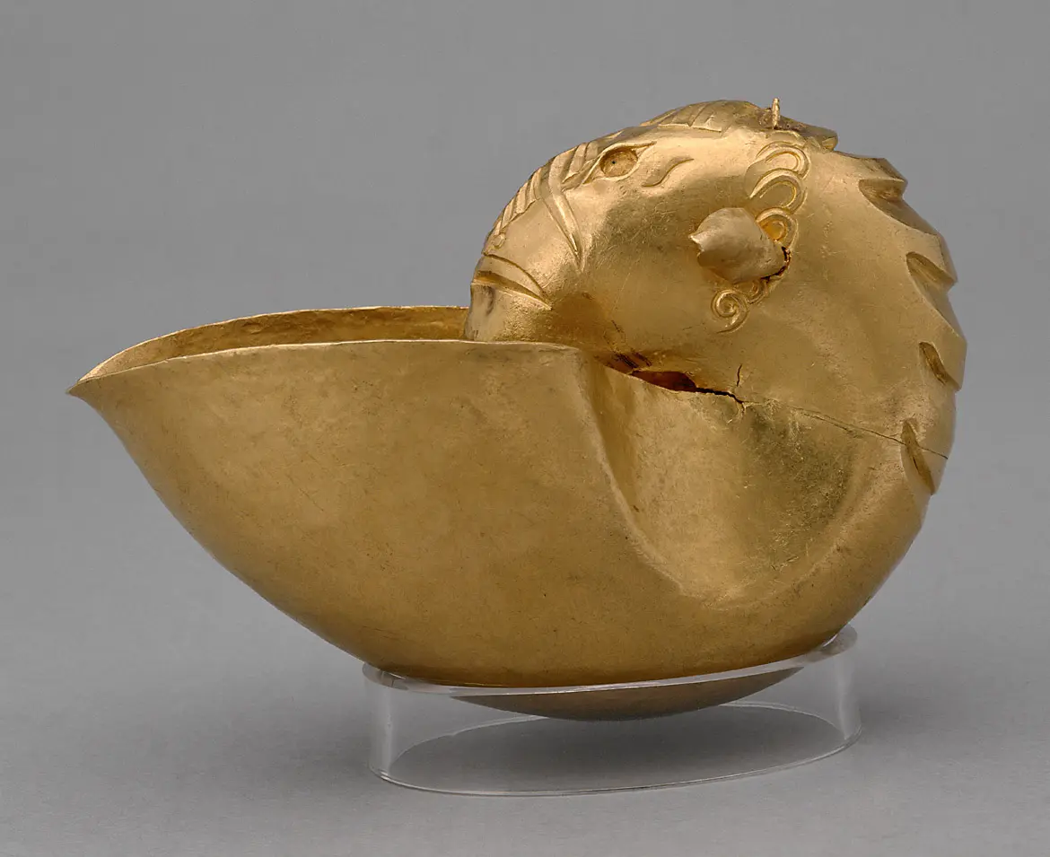 Nautilusförmige Schale