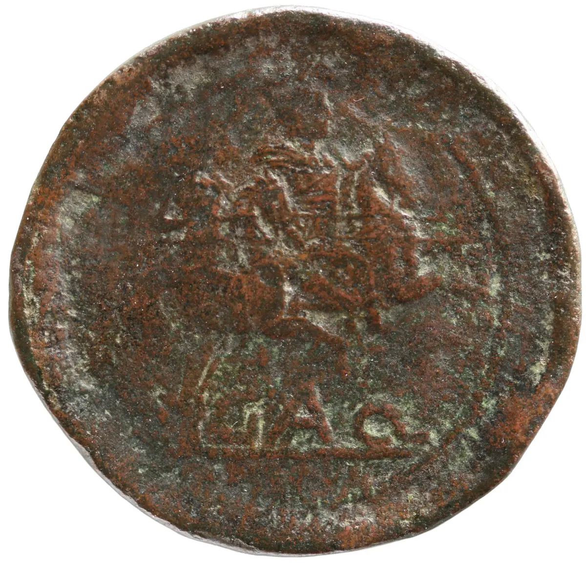 Venusia