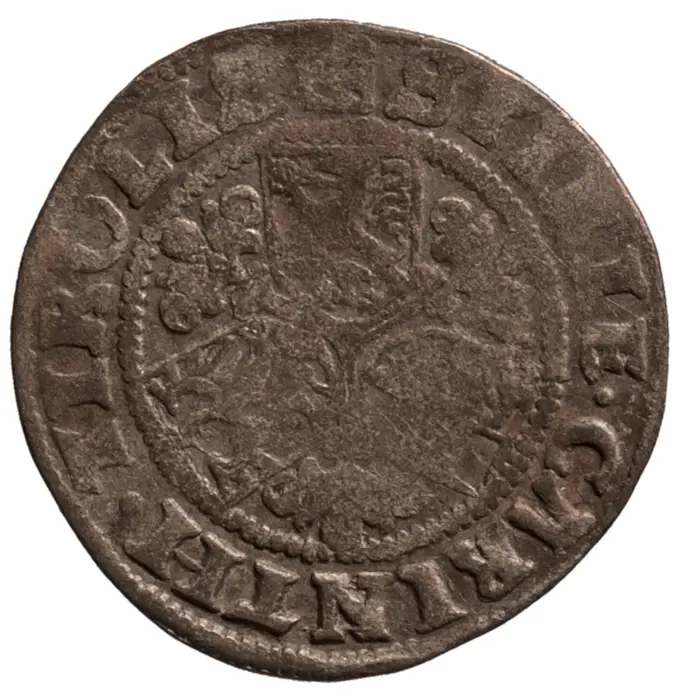Haus Österreich: Maximilian I. (1490–1519)