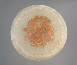 Teller