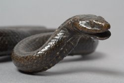 Natter (Naturabguss)