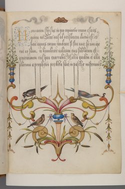 Schriftmusterbuch; 127 Blatt Pergament