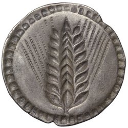 Metapont