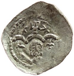 Herzöge von Kärnten / Herren von Krain: Bernhard (1202–1256)