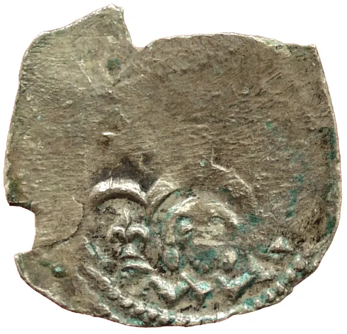 Herzöge von Kärnten / Herren von Krain: Bernhard (1202–1256)