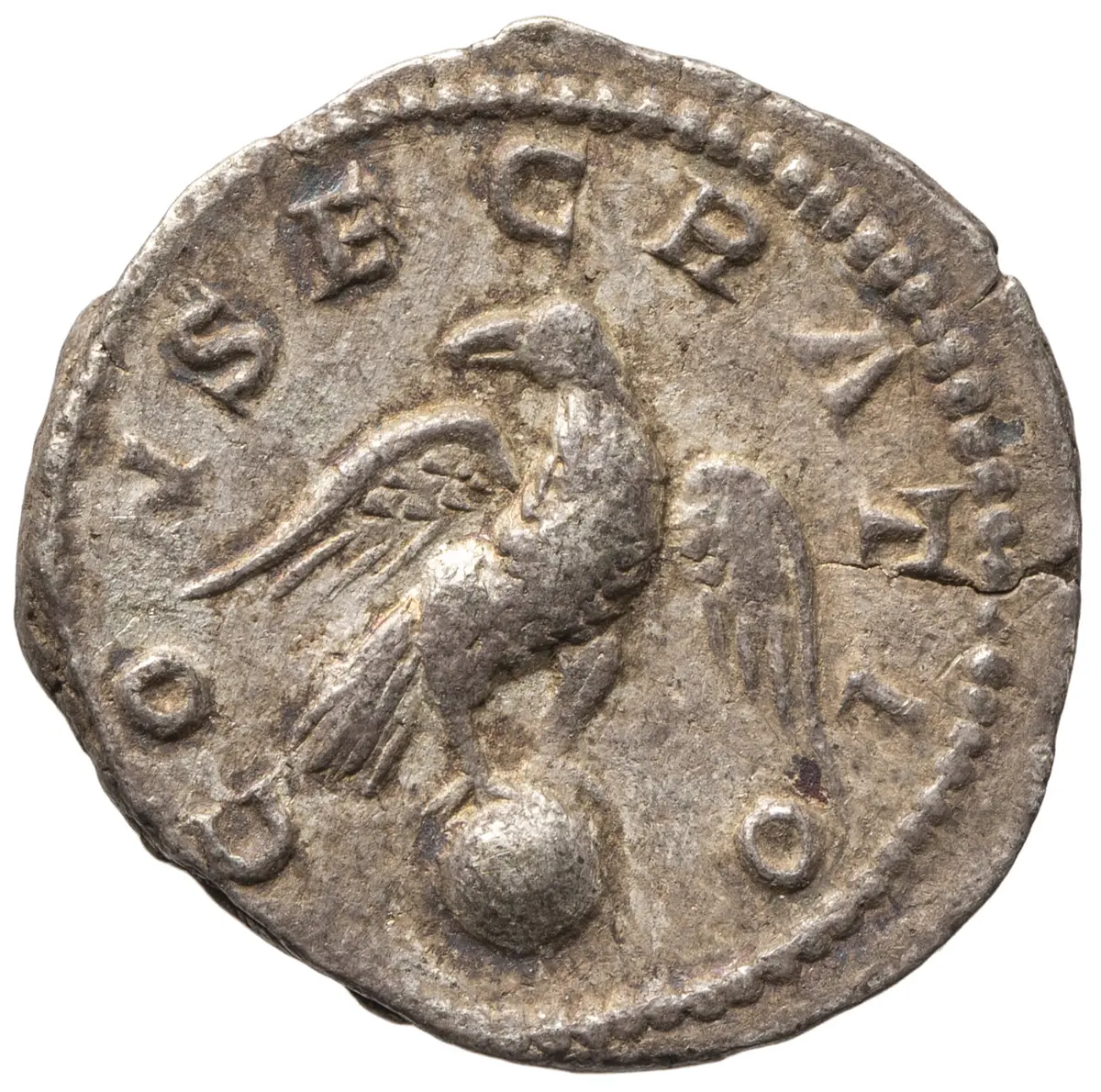 Divus Septimius Severus