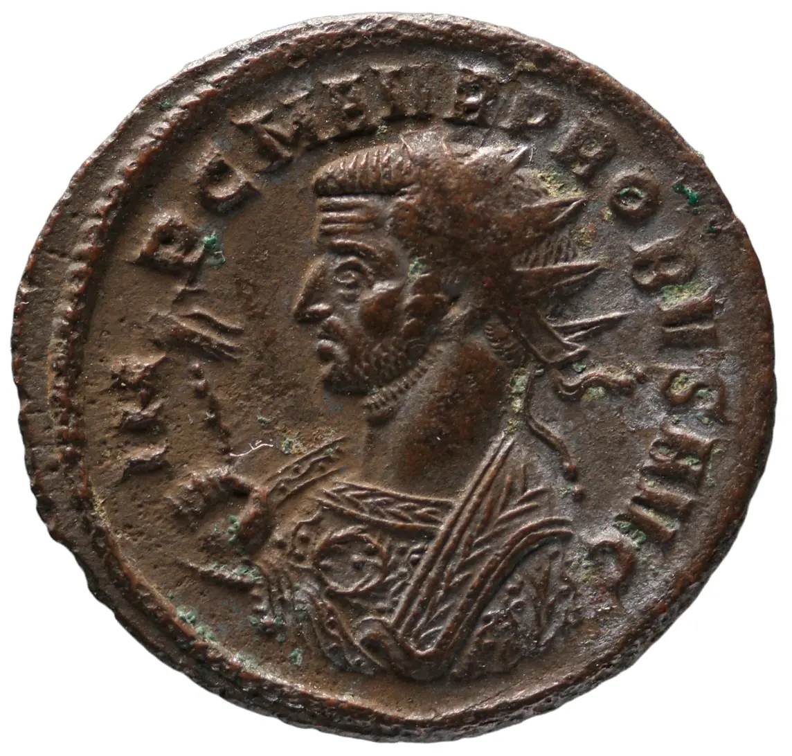 Probus