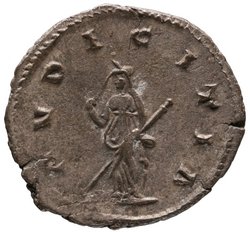 Salonina