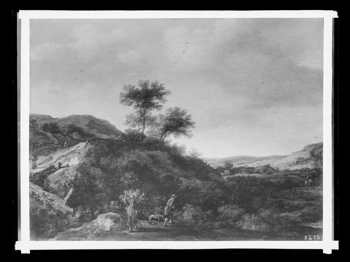 Dünenlandschaft