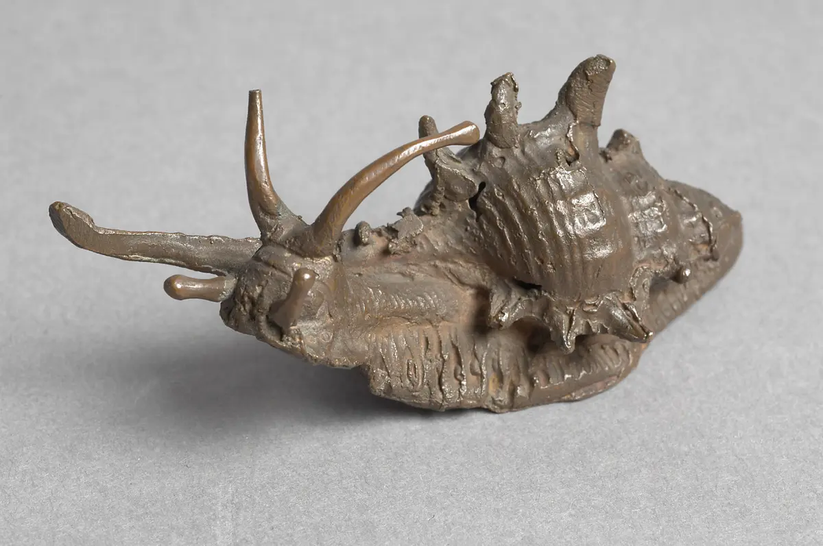 Seeschnecke