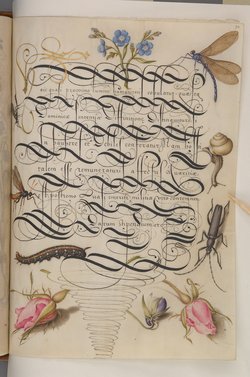 Schriftmusterbuch; 127 Blatt Pergament