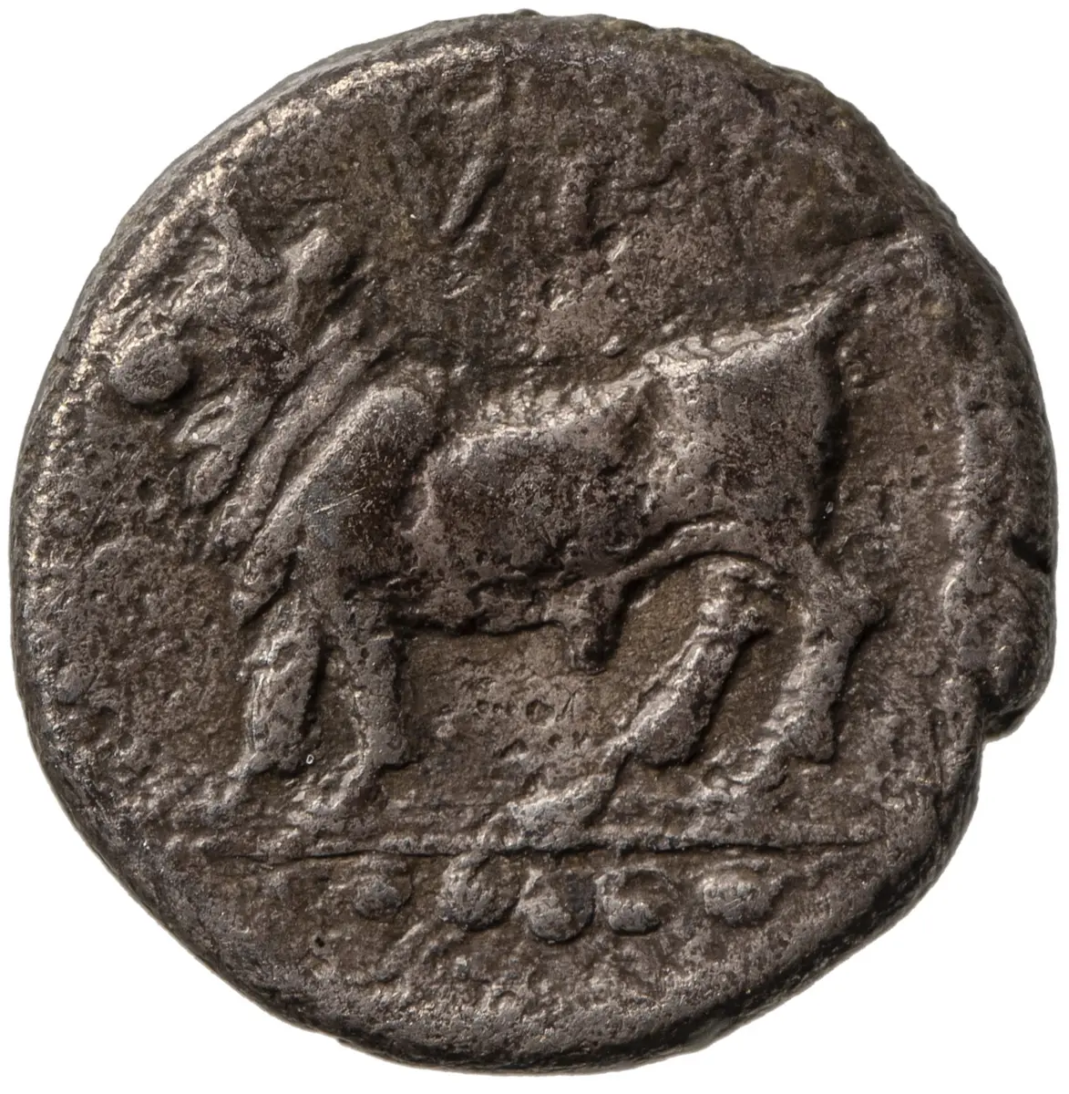 Sybaris
