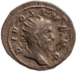 Divus Septimius Severus