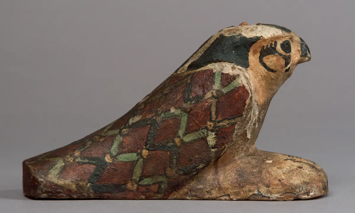 Achom-Falke