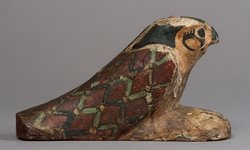 Achom-Falke