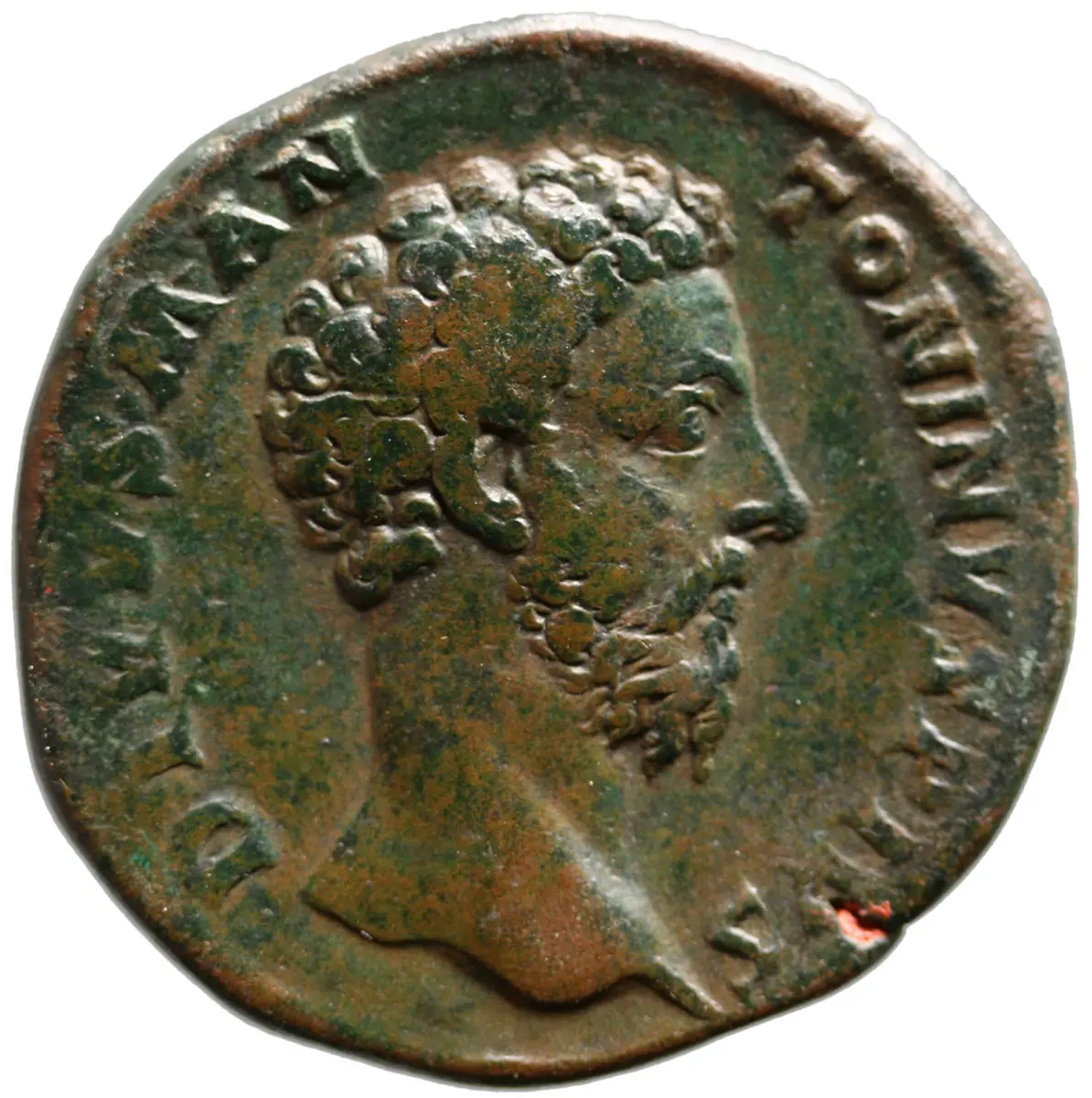 Divus Marcus Aurelius