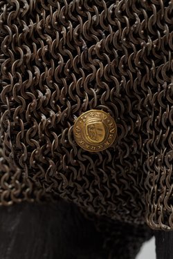 Ringpanzerhose