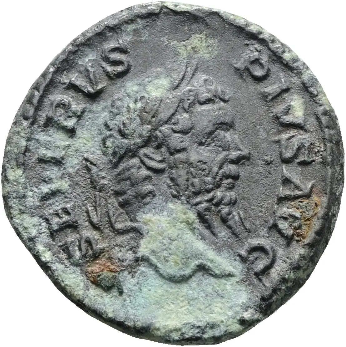 Septimius Severus (Falsum)