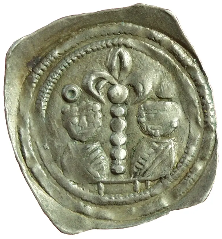 Herzöge von Kärnten / Herren von Krain: Bernhard (1202–1256)